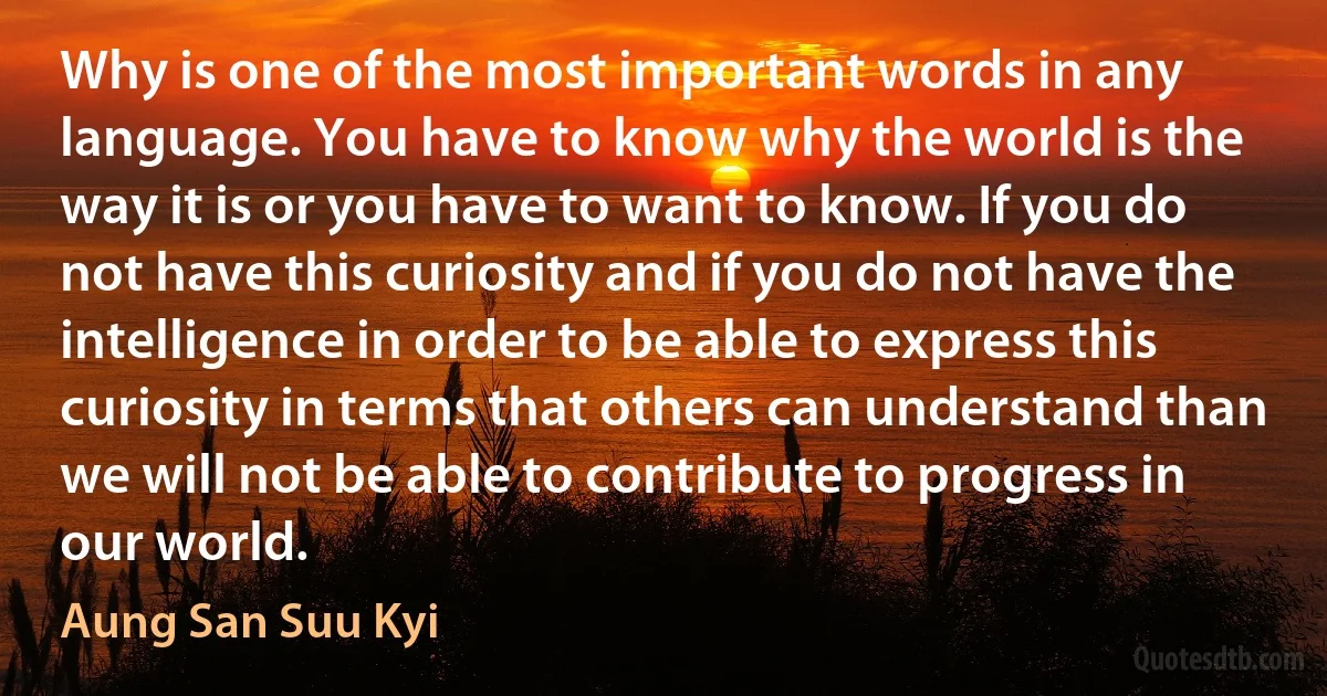 Why is one of the most important words in any language. You have to know why the world is the way it is or you have to want to know. If you do not have this curiosity and if you do not have the intelligence in order to be able to express this curiosity in terms that others can understand than we will not be able to contribute to progress in our world. (Aung San Suu Kyi)