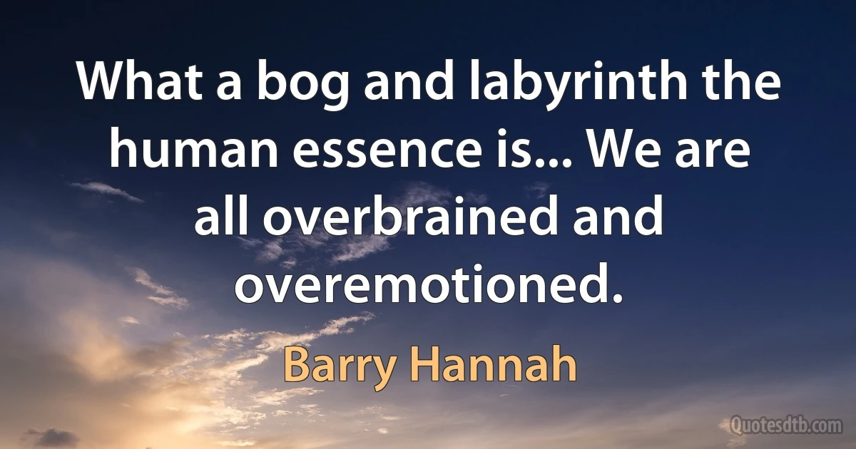 What a bog and labyrinth the human essence is... We are all overbrained and overemotioned. (Barry Hannah)