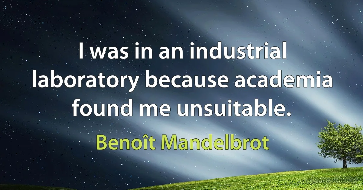 I was in an industrial laboratory because academia found me unsuitable. (Benoît Mandelbrot)