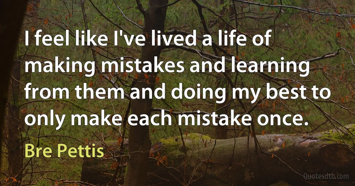 I feel like I've lived a life of making mistakes and learning from them and doing my best to only make each mistake once. (Bre Pettis)