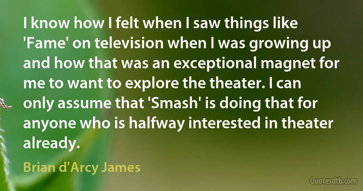 I know how I felt when I saw things like 'Fame' on television when I was growing up and how that was an exceptional magnet for me to want to explore the theater. I can only assume that 'Smash' is doing that for anyone who is halfway interested in theater already. (Brian d'Arcy James)