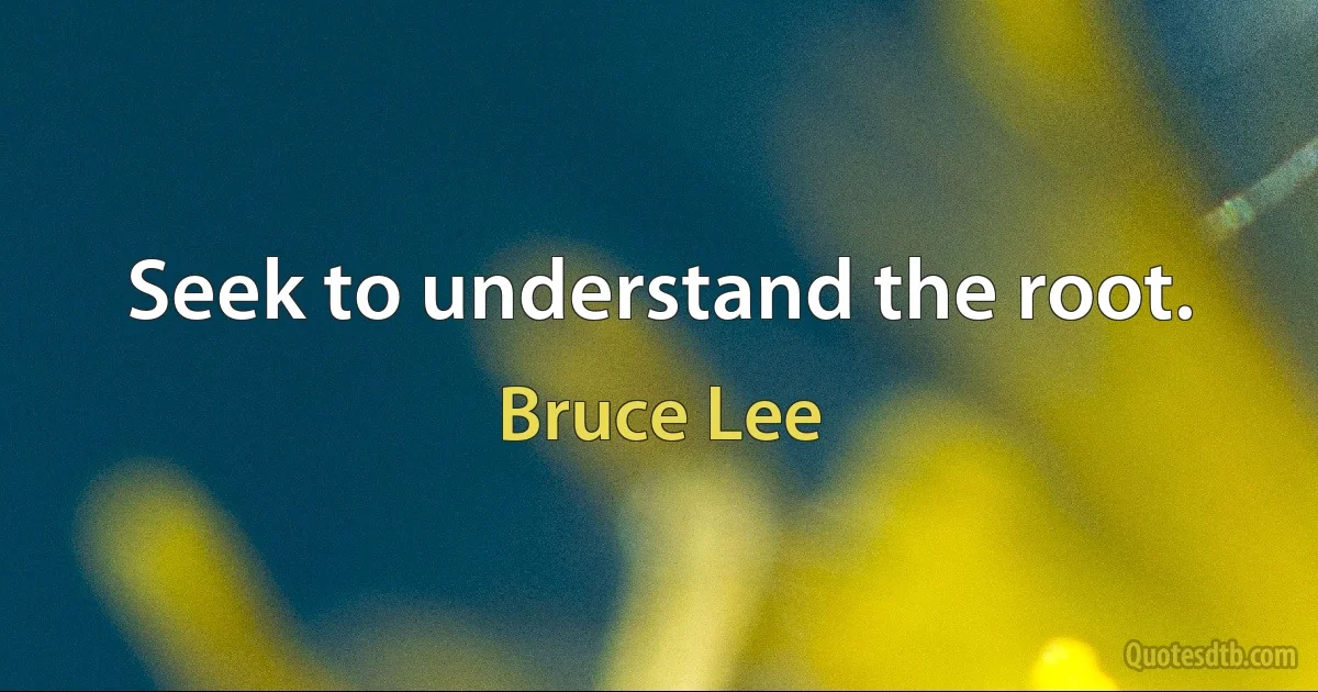 Seek to understand the root. (Bruce Lee)