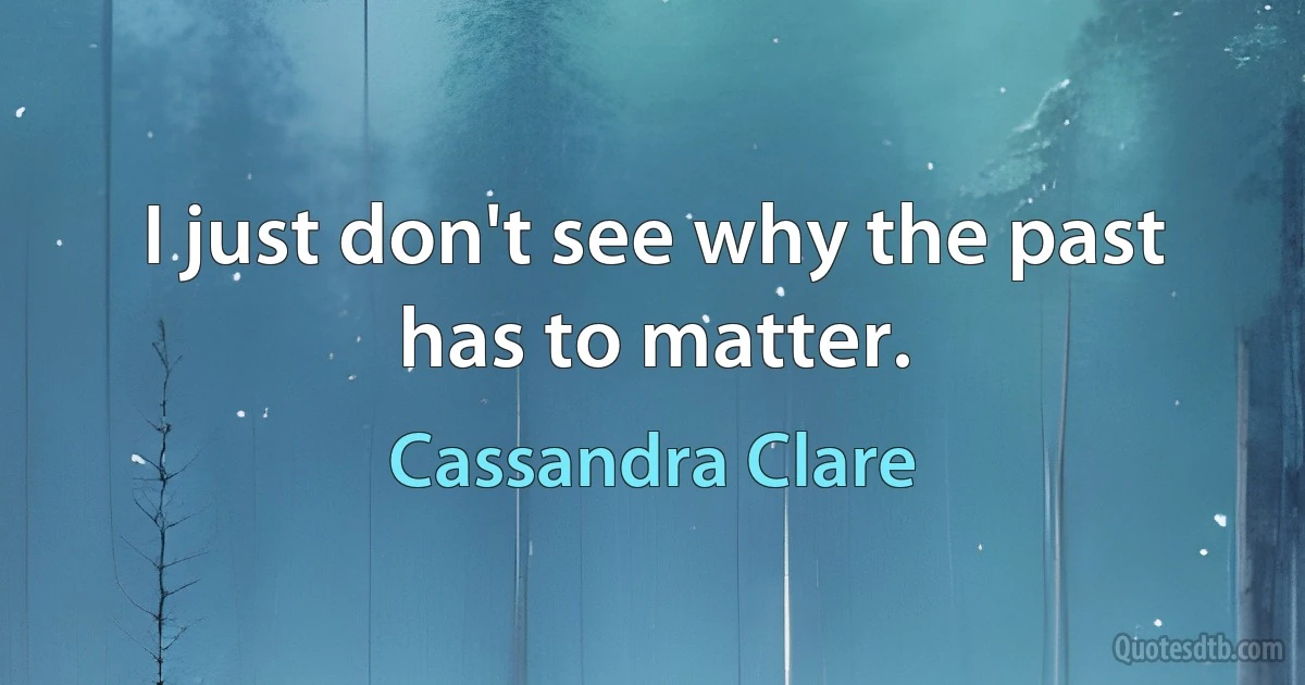 I just don't see why the past has to matter. (Cassandra Clare)