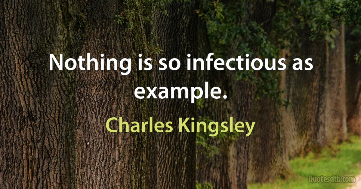 Nothing is so infectious as example. (Charles Kingsley)