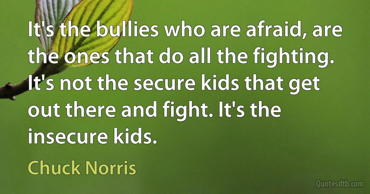 It's the bullies who are afraid, are the ones that do all the fighting. It's not the secure kids that get out there and fight. It's the insecure kids. (Chuck Norris)