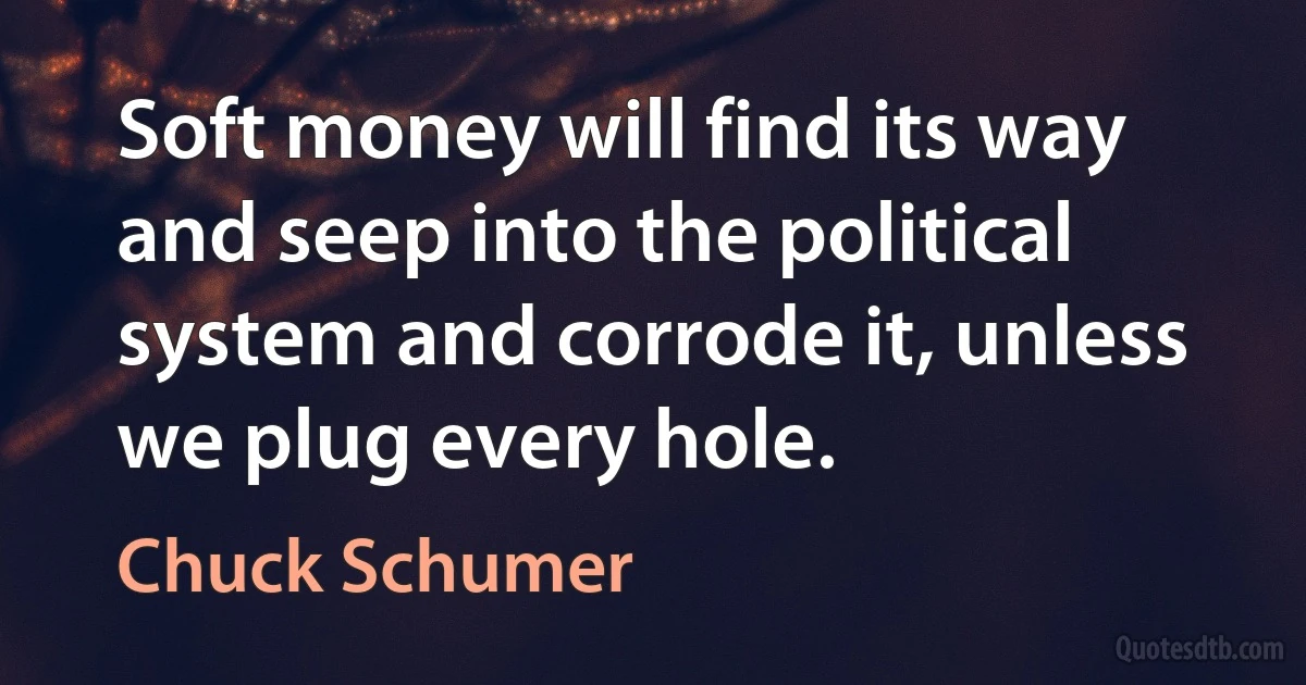 Soft money will find its way and seep into the political system and corrode it, unless we plug every hole. (Chuck Schumer)