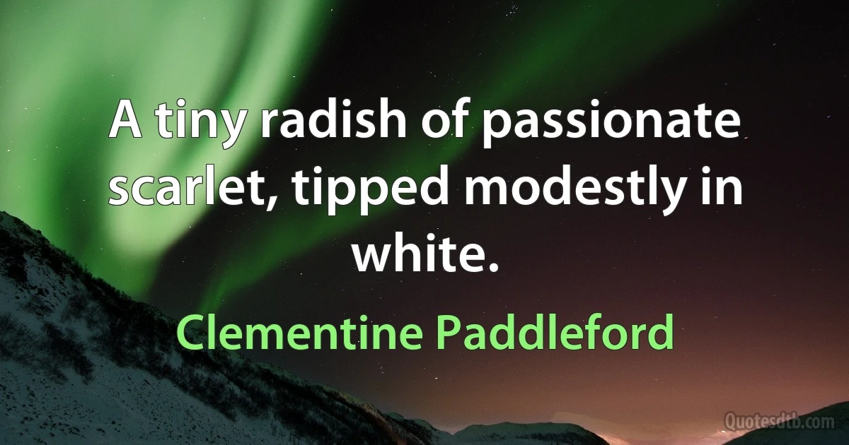 A tiny radish of passionate scarlet, tipped modestly in white. (Clementine Paddleford)