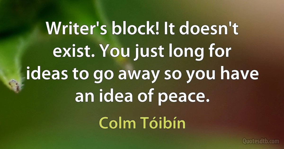 Writer's block! It doesn't exist. You just long for ideas to go away so you have an idea of peace. (Colm Tóibín)