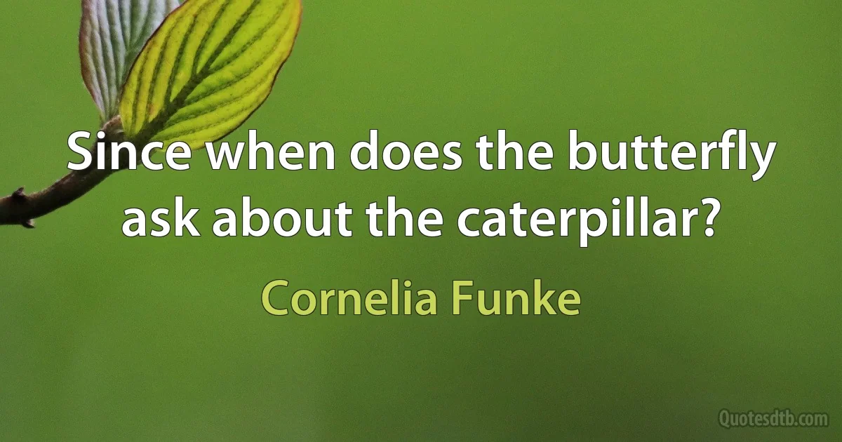 Since when does the butterfly ask about the caterpillar? (Cornelia Funke)