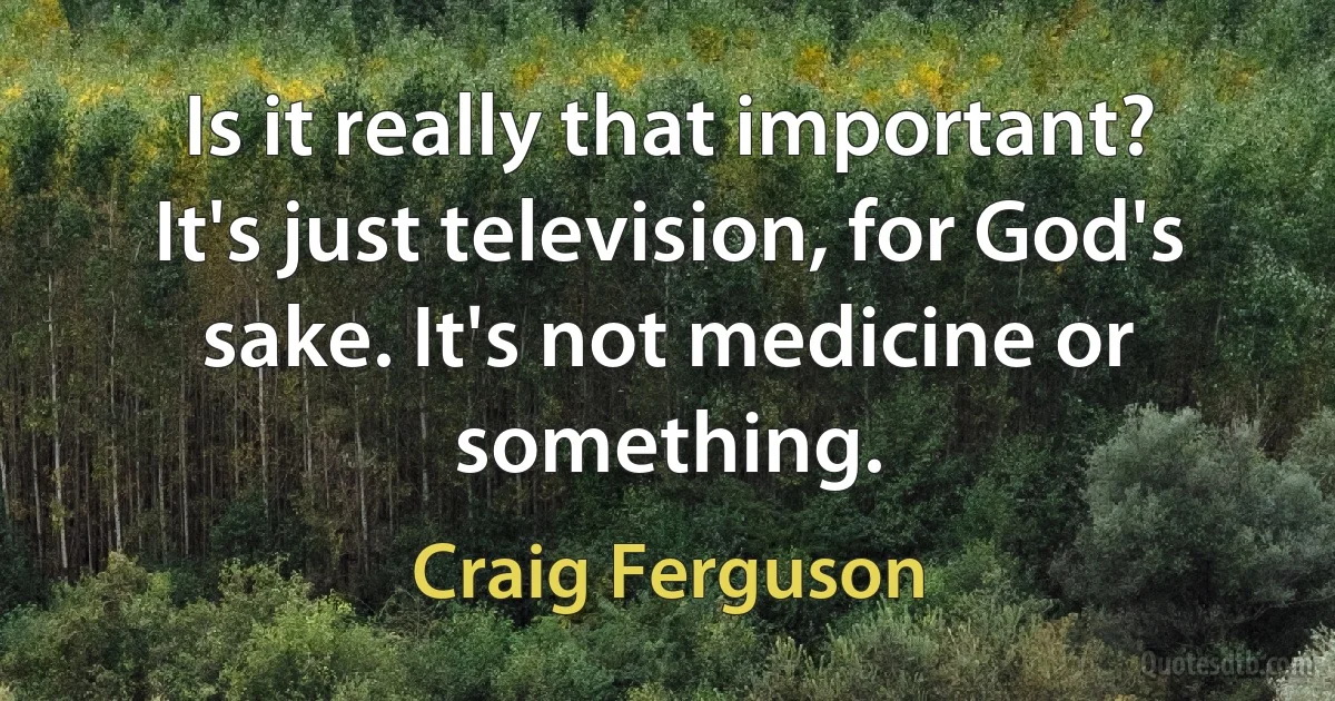 Is it really that important? It's just television, for God's sake. It's not medicine or something. (Craig Ferguson)