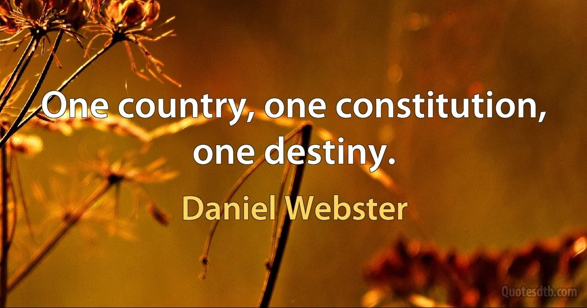 One country, one constitution, one destiny. (Daniel Webster)