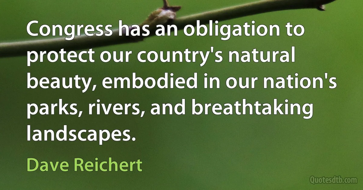 Congress has an obligation to protect our country's natural beauty, embodied in our nation's parks, rivers, and breathtaking landscapes. (Dave Reichert)