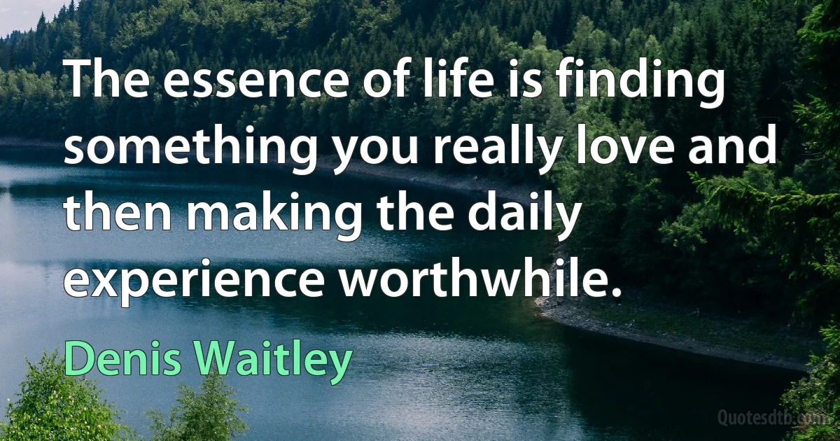 The essence of life is finding something you really love and then making the daily experience worthwhile. (Denis Waitley)