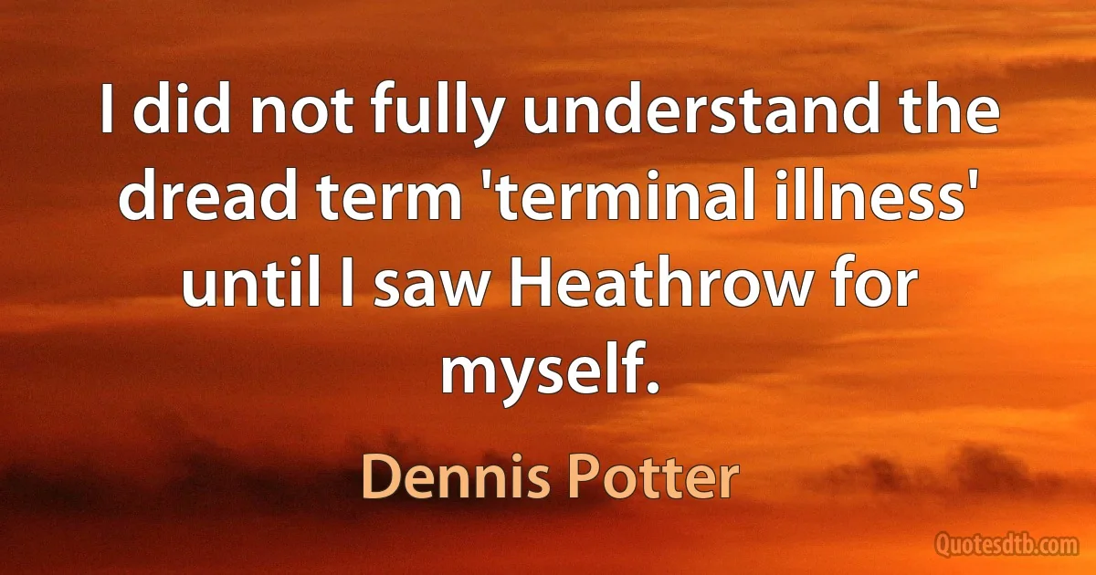 I did not fully understand the dread term 'terminal illness' until I saw Heathrow for myself. (Dennis Potter)