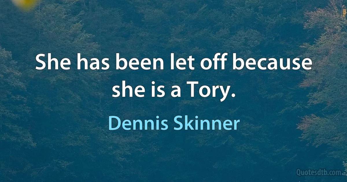 She has been let off because she is a Tory. (Dennis Skinner)