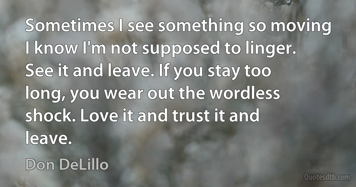 Sometimes I see something so moving I know I'm not supposed to linger. See it and leave. If you stay too long, you wear out the wordless shock. Love it and trust it and leave. (Don DeLillo)