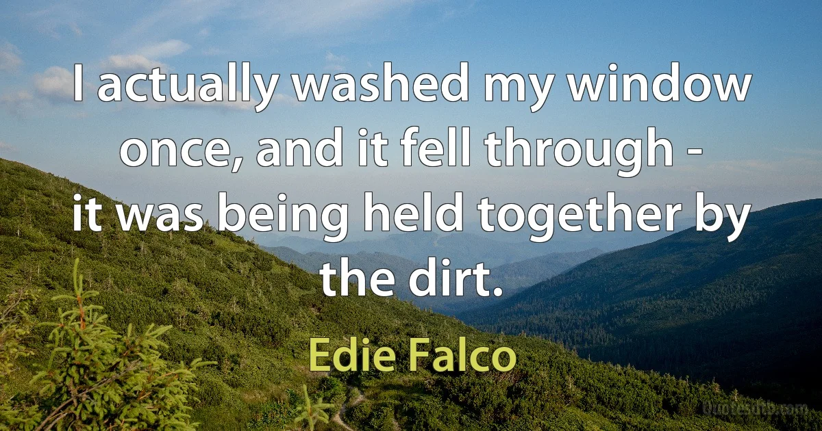 I actually washed my window once, and it fell through - it was being held together by the dirt. (Edie Falco)