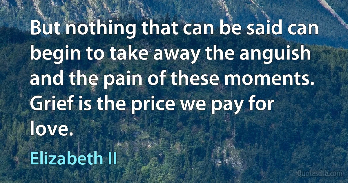 But nothing that can be said can begin to take away the anguish and the pain of these moments. Grief is the price we pay for love. (Elizabeth II)