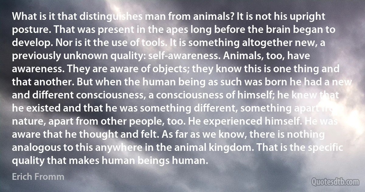 What is it that distinguishes man from animals? It is not his upright posture. That was present in the apes long before the brain began to develop. Nor is it the use of tools. It is something altogether new, a previously unknown quality: self-awareness. Animals, too, have awareness. They are aware of objects; they know this is one thing and that another. But when the human being as such was born he had a new and different consciousness, a consciousness of himself; he knew that he existed and that he was something different, something apart from nature, apart from other people, too. He experienced himself. He was aware that he thought and felt. As far as we know, there is nothing analogous to this anywhere in the animal kingdom. That is the specific quality that makes human beings human. (Erich Fromm)