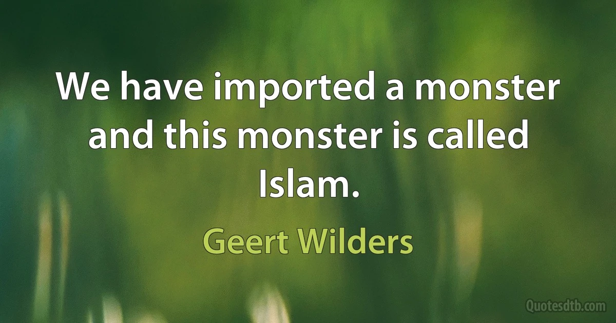 We have imported a monster and this monster is called Islam. (Geert Wilders)