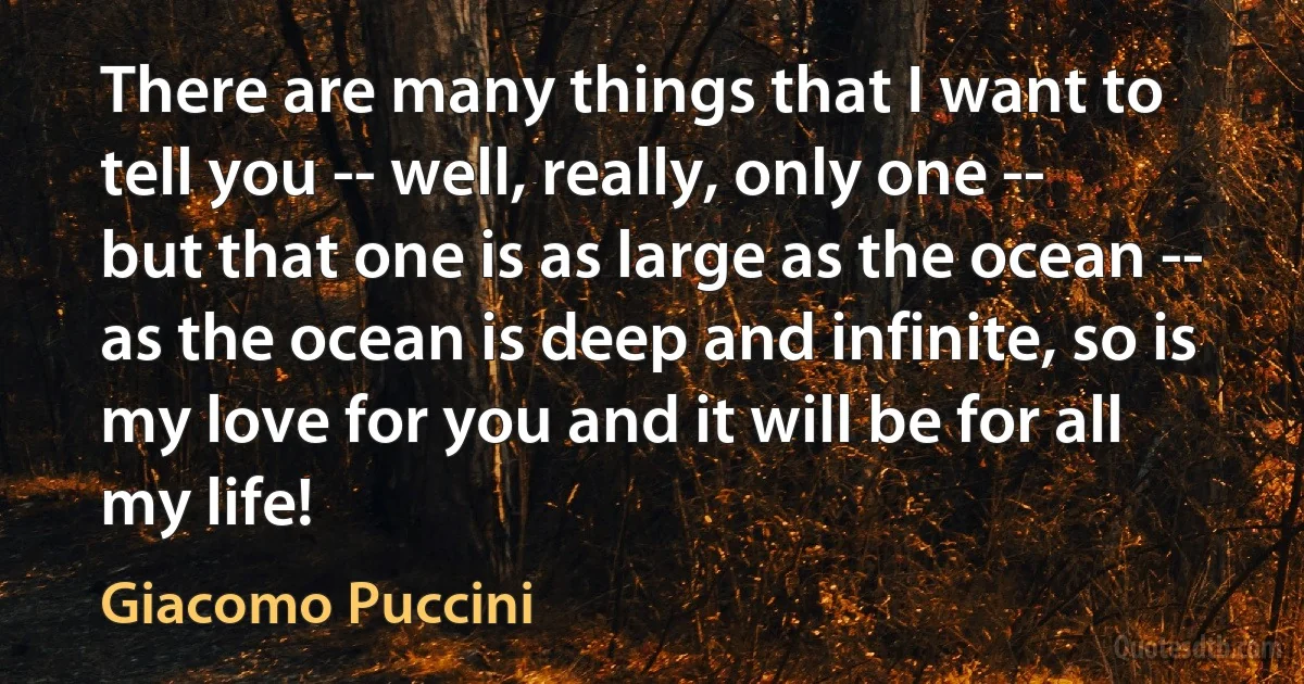 There are many things that I want to tell you -- well, really, only one -- but that one is as large as the ocean -- as the ocean is deep and infinite, so is my love for you and it will be for all my life! (Giacomo Puccini)