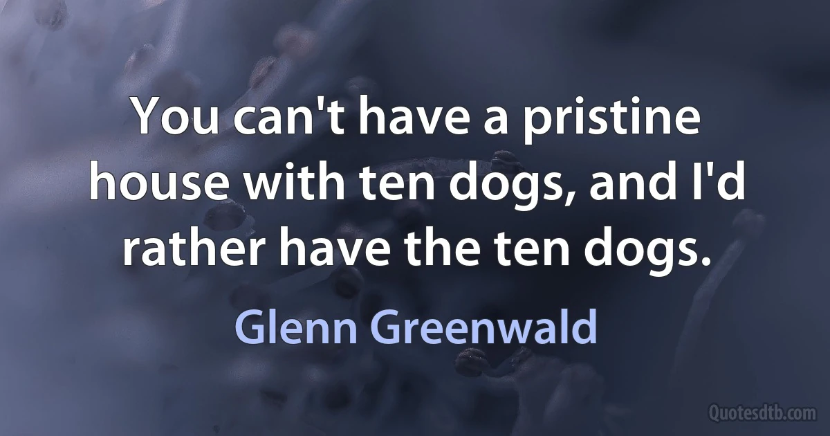 You can't have a pristine house with ten dogs, and I'd rather have the ten dogs. (Glenn Greenwald)