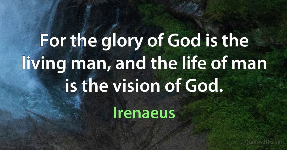 For the glory of God is the living man, and the life of man is the vision of God. (Irenaeus)