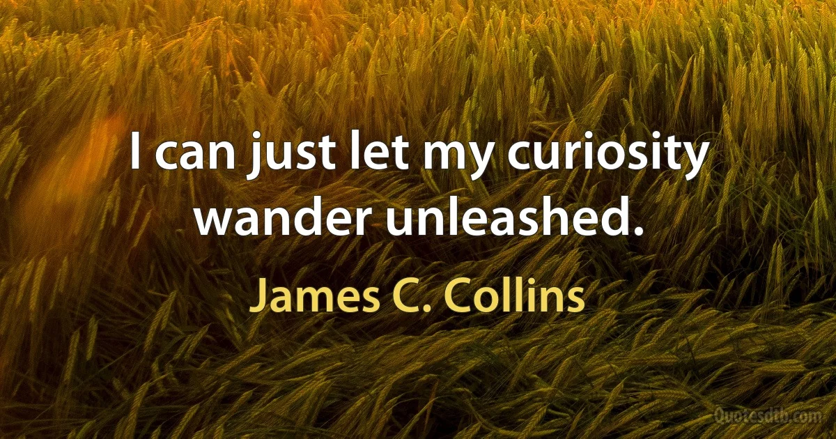 I can just let my curiosity wander unleashed. (James C. Collins)