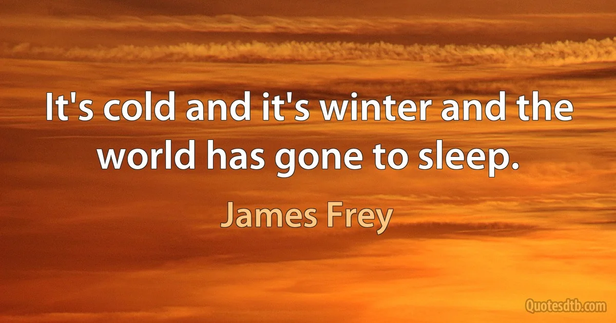 It's cold and it's winter and the world has gone to sleep. (James Frey)