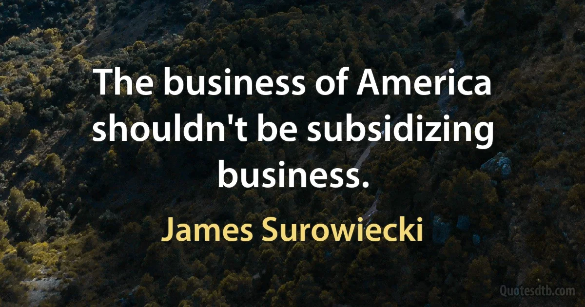 The business of America shouldn't be subsidizing business. (James Surowiecki)