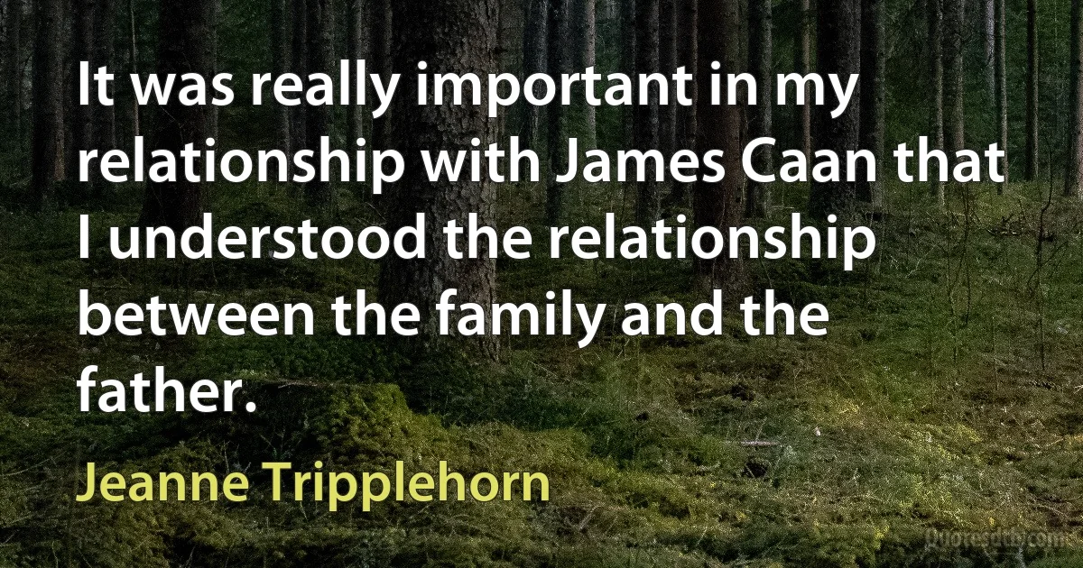 It was really important in my relationship with James Caan that I understood the relationship between the family and the father. (Jeanne Tripplehorn)