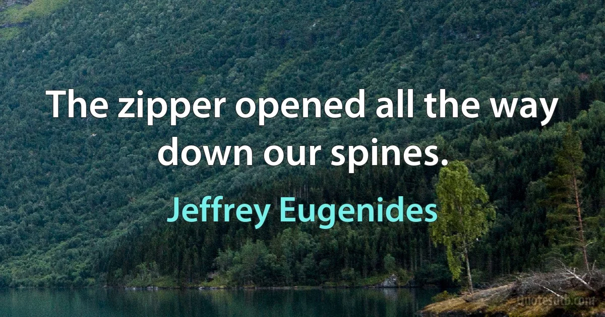 The zipper opened all the way down our spines. (Jeffrey Eugenides)