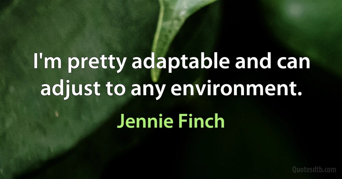 I'm pretty adaptable and can adjust to any environment. (Jennie Finch)