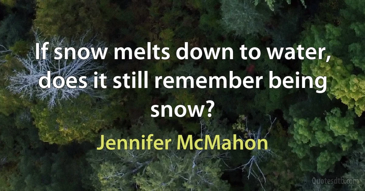 If snow melts down to water, does it still remember being snow? (Jennifer McMahon)