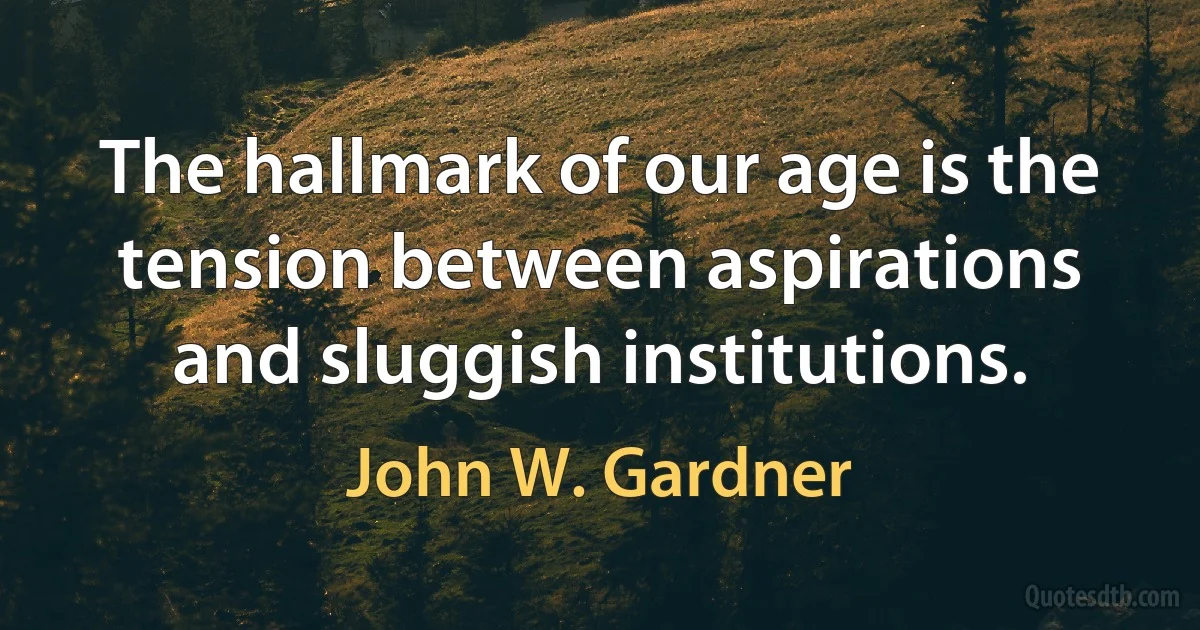 The hallmark of our age is the tension between aspirations and sluggish institutions. (John W. Gardner)