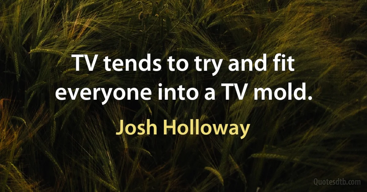 TV tends to try and fit everyone into a TV mold. (Josh Holloway)