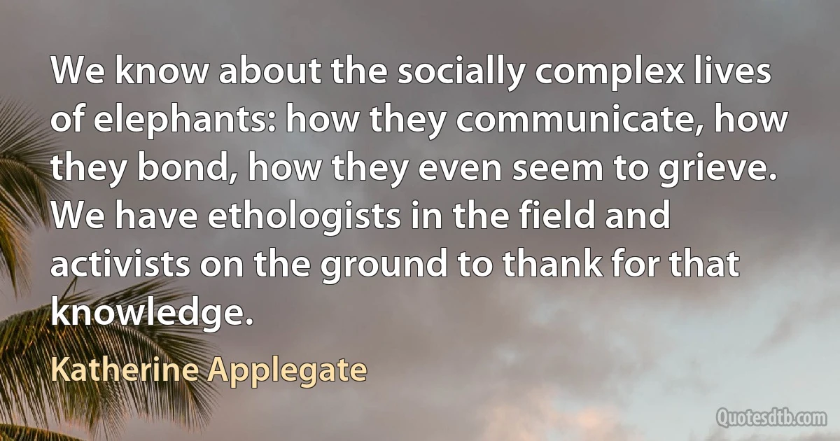 We know about the socially complex lives of elephants: how they communicate, how they bond, how they even seem to grieve. We have ethologists in the field and activists on the ground to thank for that knowledge. (Katherine Applegate)