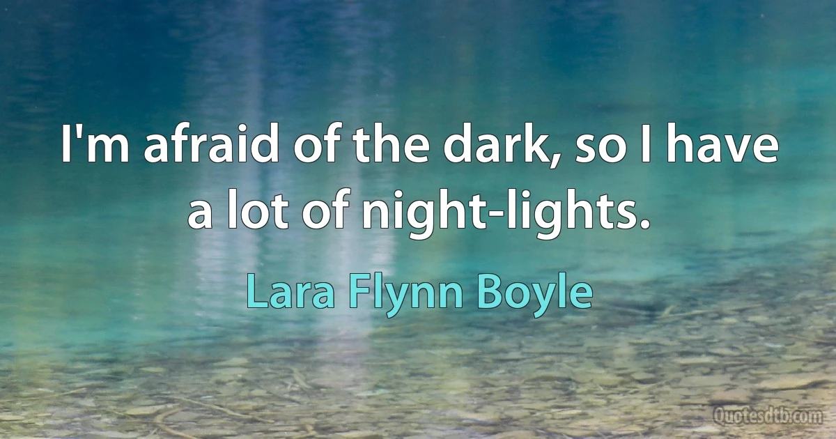 I'm afraid of the dark, so I have a lot of night-lights. (Lara Flynn Boyle)