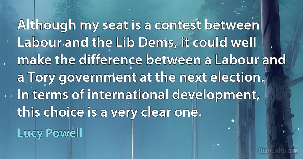 Although my seat is a contest between Labour and the Lib Dems, it could well make the difference between a Labour and a Tory government at the next election. In terms of international development, this choice is a very clear one. (Lucy Powell)