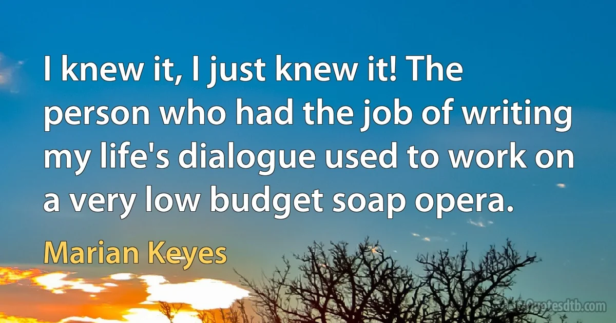 I knew it, I just knew it! The person who had the job of writing my life's dialogue used to work on a very low budget soap opera. (Marian Keyes)