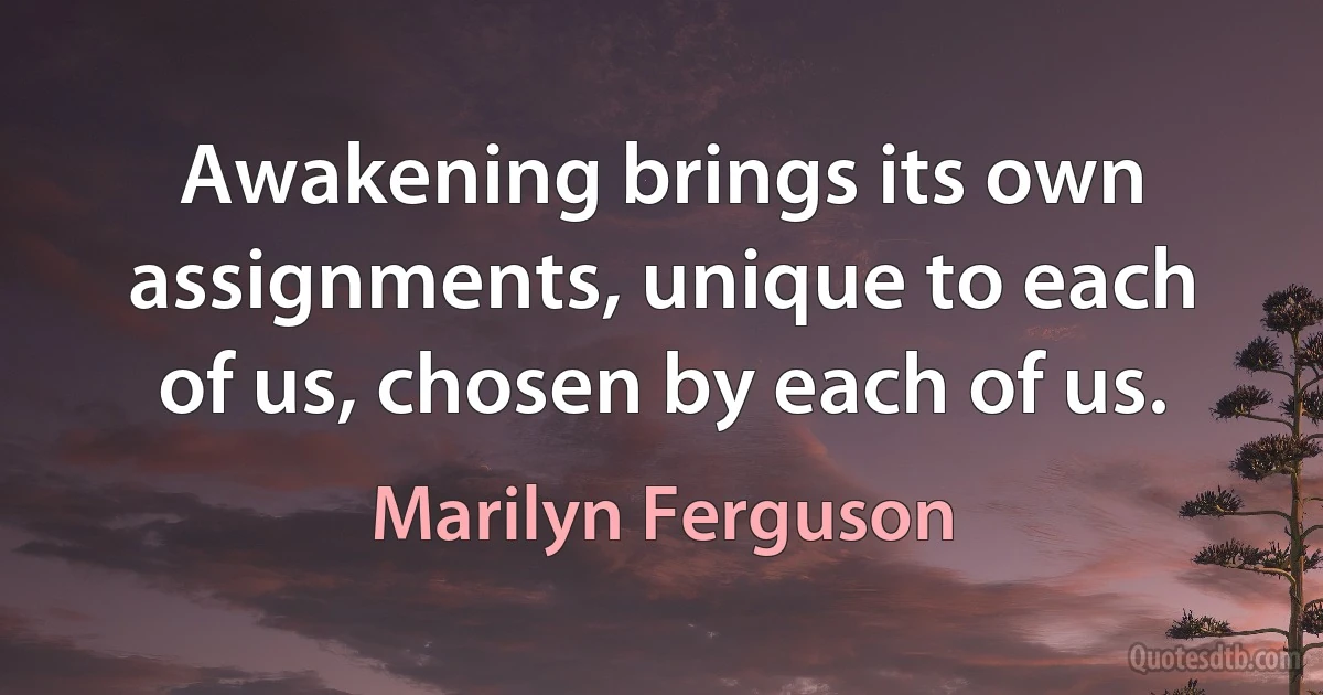 Awakening brings its own assignments, unique to each of us, chosen by each of us. (Marilyn Ferguson)