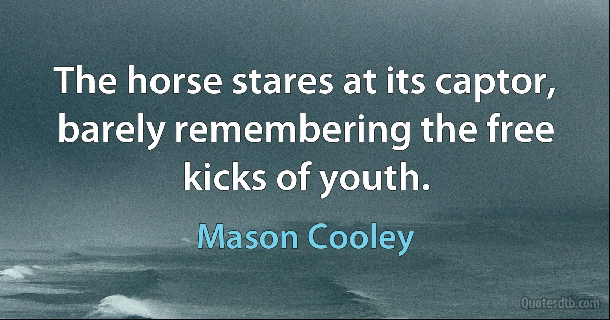 The horse stares at its captor, barely remembering the free kicks of youth. (Mason Cooley)