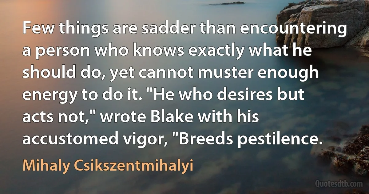 Few things are sadder than encountering a person who knows exactly what he should do, yet cannot muster enough energy to do it. "He who desires but acts not," wrote Blake with his accustomed vigor, "Breeds pestilence. (Mihaly Csikszentmihalyi)