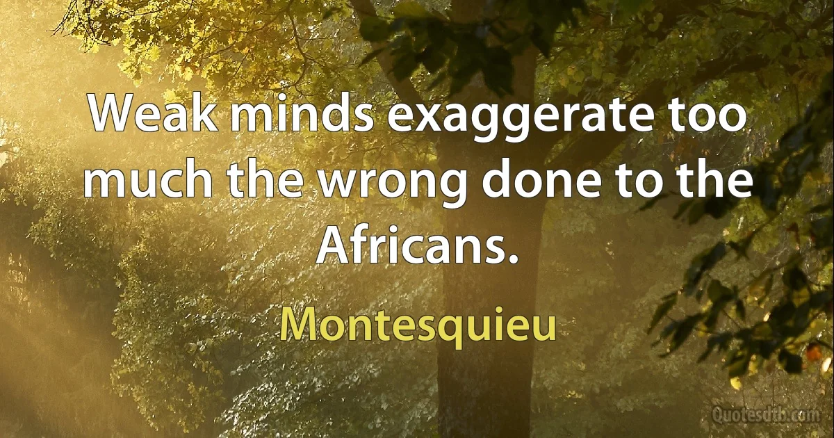 Weak minds exaggerate too much the wrong done to the Africans. (Montesquieu)