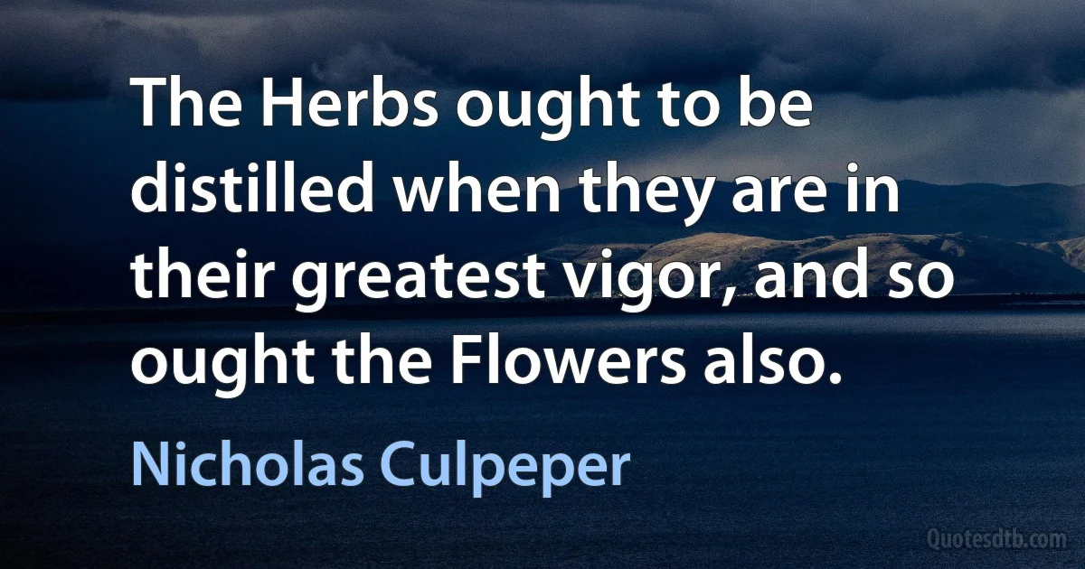 The Herbs ought to be distilled when they are in their greatest vigor, and so ought the Flowers also. (Nicholas Culpeper)