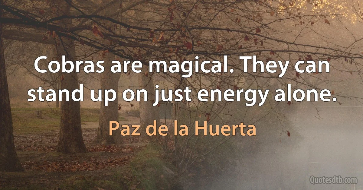 Cobras are magical. They can stand up on just energy alone. (Paz de la Huerta)