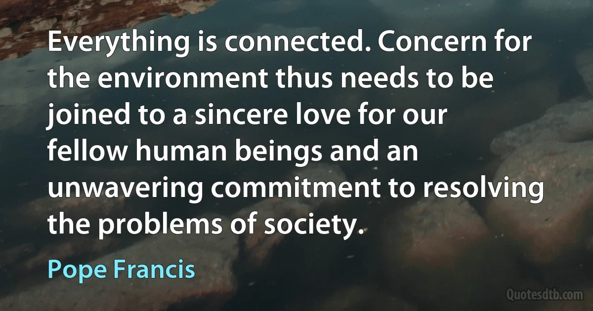 Everything is connected. Concern for the environment thus needs to be joined to a sincere love for our fellow human beings and an unwavering commitment to resolving the problems of society. (Pope Francis)