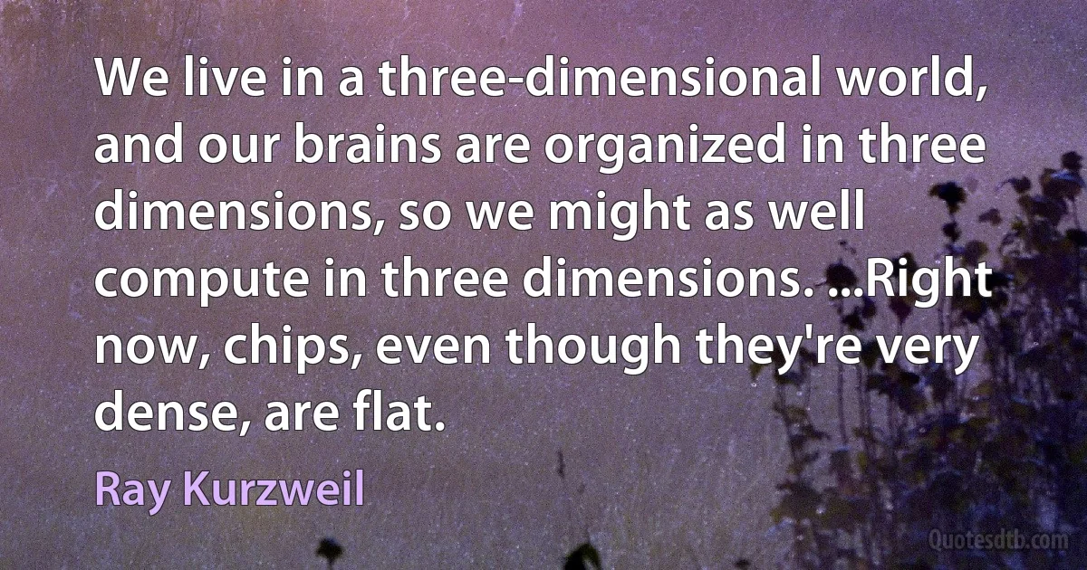 We live in a three-dimensional world, and our brains are organized in three dimensions, so we might as well compute in three dimensions. ...Right now, chips, even though they're very dense, are flat. (Ray Kurzweil)