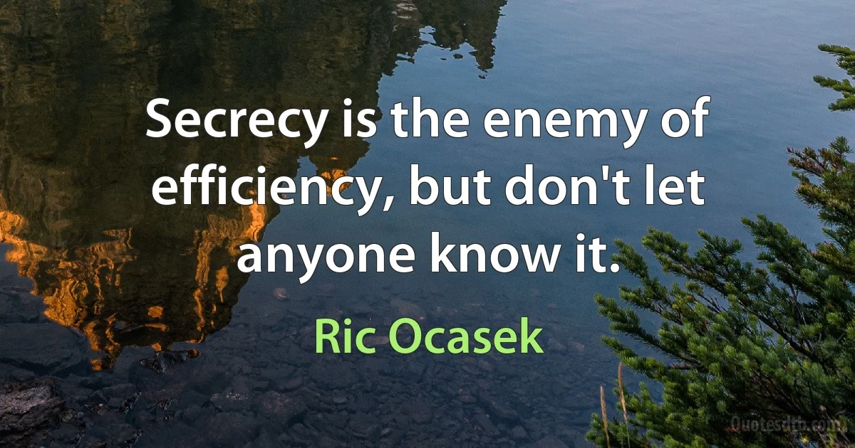 Secrecy is the enemy of efficiency, but don't let anyone know it. (Ric Ocasek)