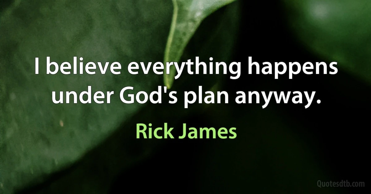 I believe everything happens under God's plan anyway. (Rick James)